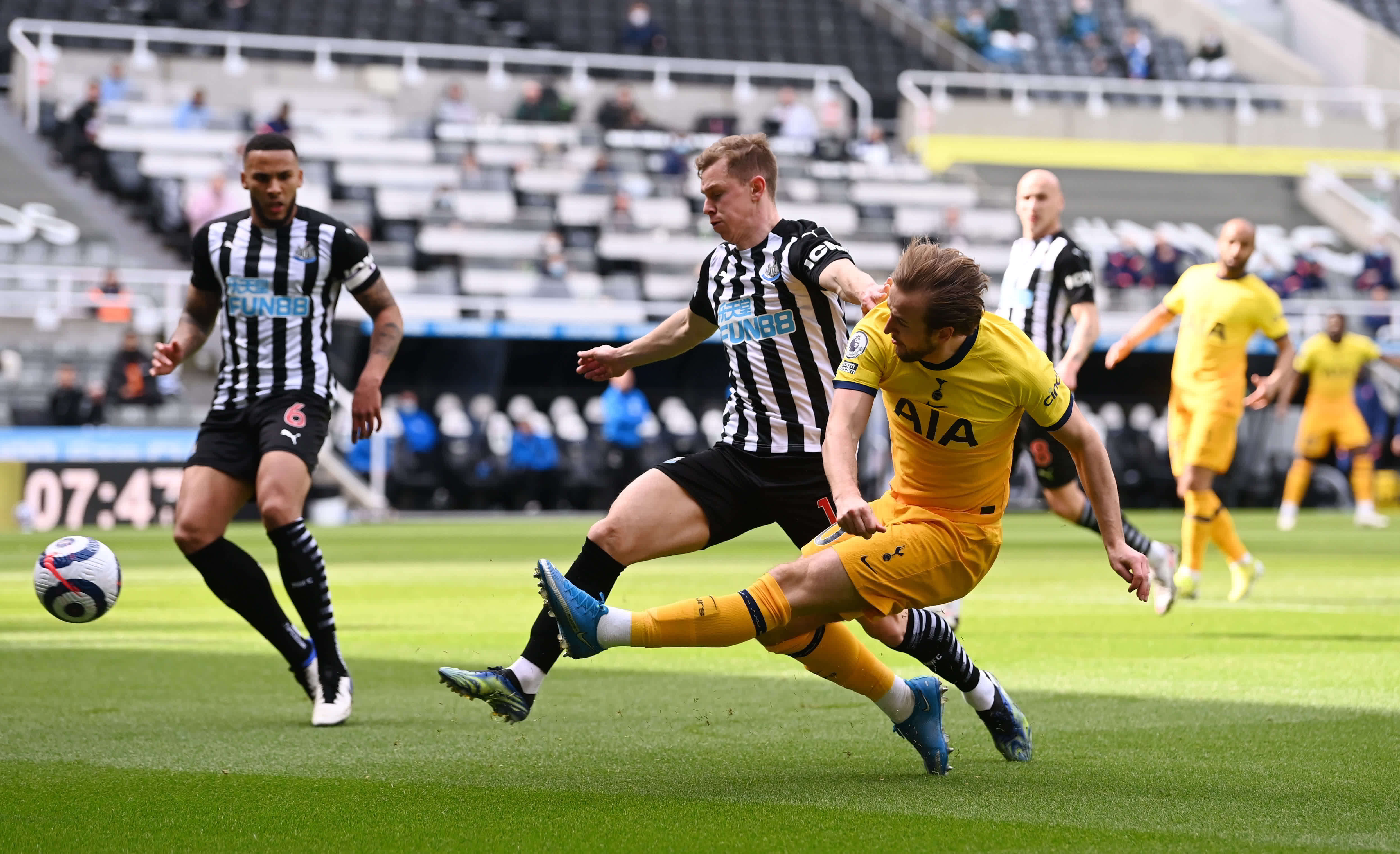 雄鹿凭借 雄鹿凭借